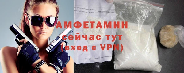 шишки Гусев