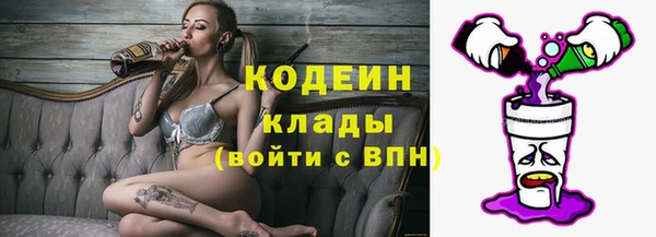 скорость Гусь-Хрустальный