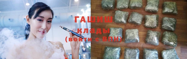 шишки Гусев
