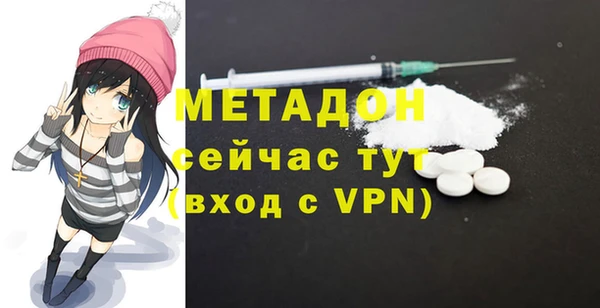 шишки Гусев