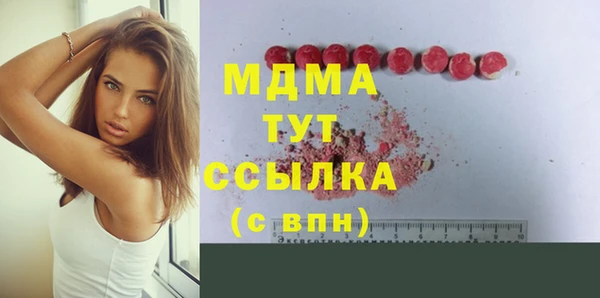 шишки Гусев