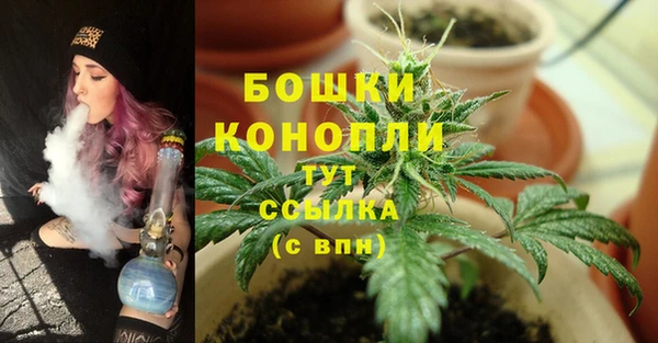 шишки Гусев