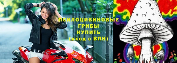 скорость Гусь-Хрустальный