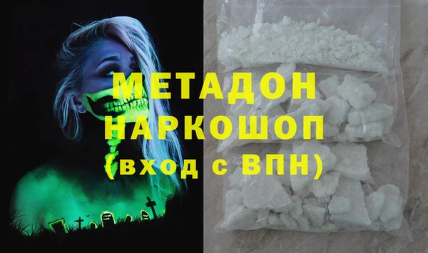 шишки Гусев