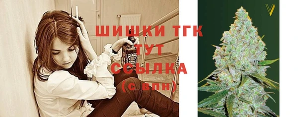 шишки Гусев