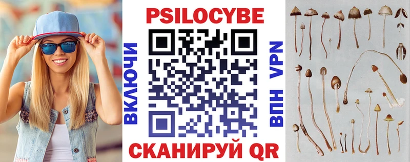 дарк нет как зайти  Курган  Галлюциногенные грибы Cubensis  купить закладку 