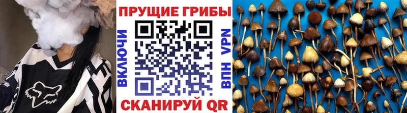 Галлюциногенные грибы ЛСД Курган