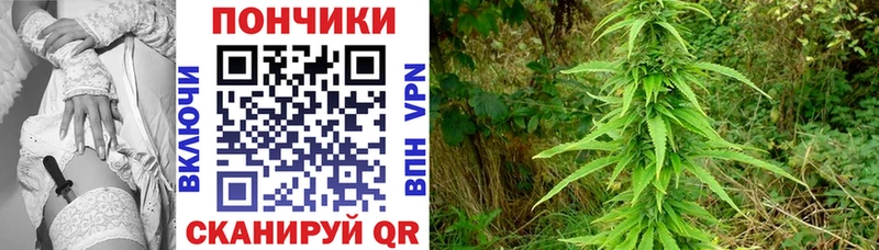 Бошки Шишки сатива  OMG как зайти  Курган 